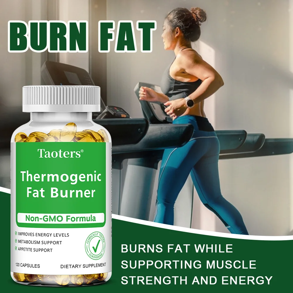 Экстракт зеленого чая — с уксу – обзор и цена Green Tea Extract Fat