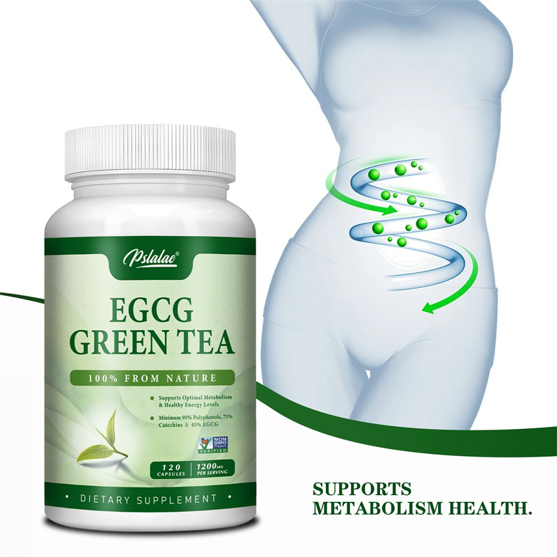 Экстракт зеленого чая EGCG уси – обзор и цена Green Tea Extract Fat