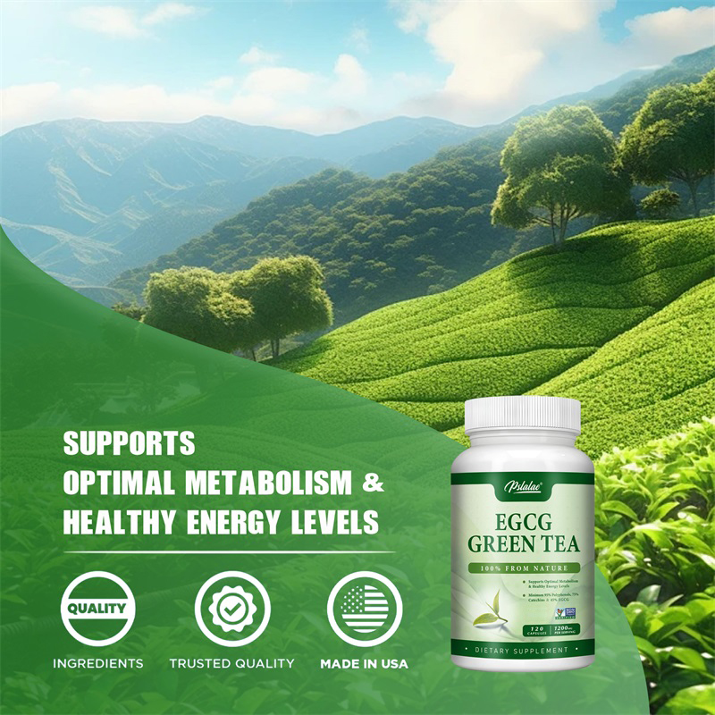 Экстракт зеленого чая EGCG уси – обзор и цена Green Tea Extract Fat