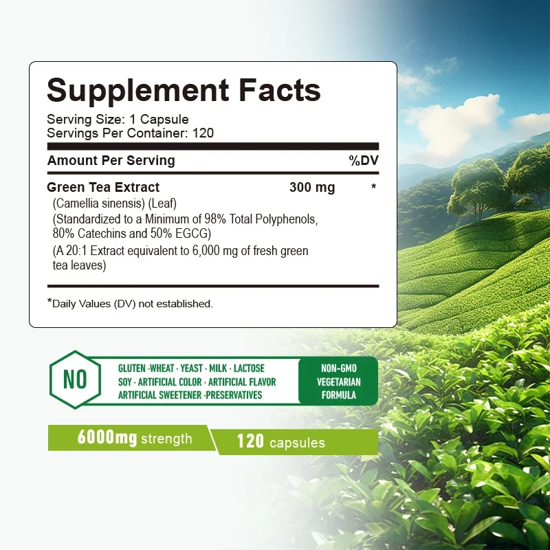 Капсулы с зеленым чаем - средс – обзор и цена Green Tea Extract Fat