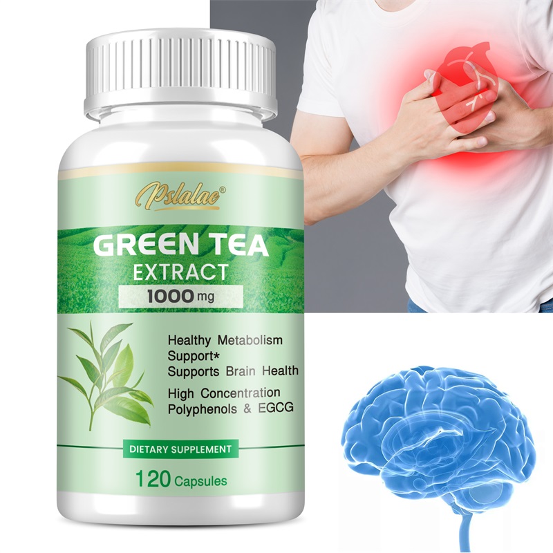 Экстракт зеленого чая — с 98%  – обзор и цена Green Tea Extract Fat