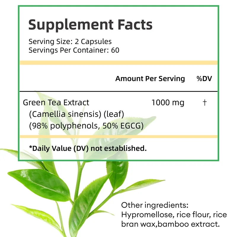 Экстракт зеленого чая — с 98%  – обзор и цена Green Tea Extract Fat