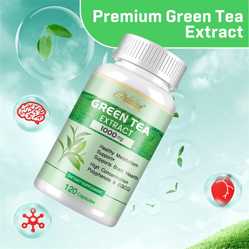 Экстракт зеленого чая — с 98%  – обзор и цена Green Tea Extract Fat