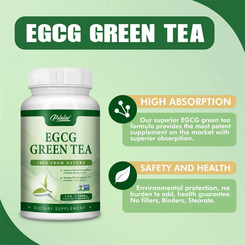 Экстракт зеленого чая EGCG — п – обзор и цена Green Tea Extract Fat