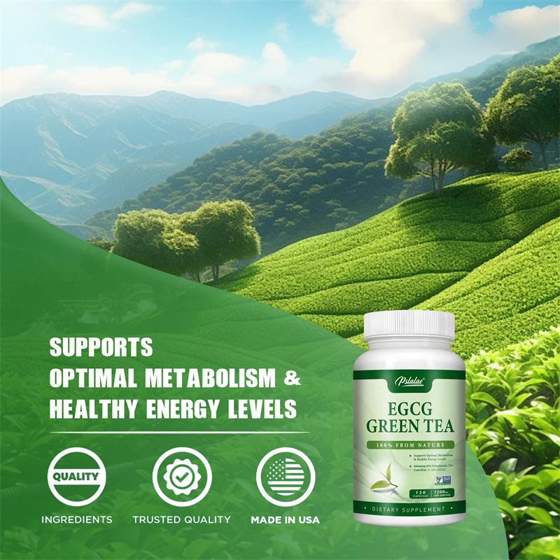 Экстракт зеленого чая EGCG — п – обзор и цена Green Tea Extract Fat